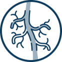 GelMatrix GelMatrix
