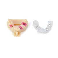 Implantology Implantology 3D Printer