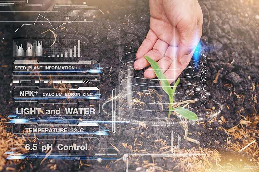 What is Smart Farming? Smart Farming Technology